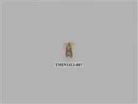 藏品(夜蛾科)的圖片